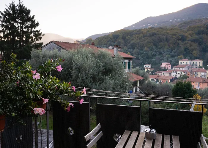 Forfour * Специя